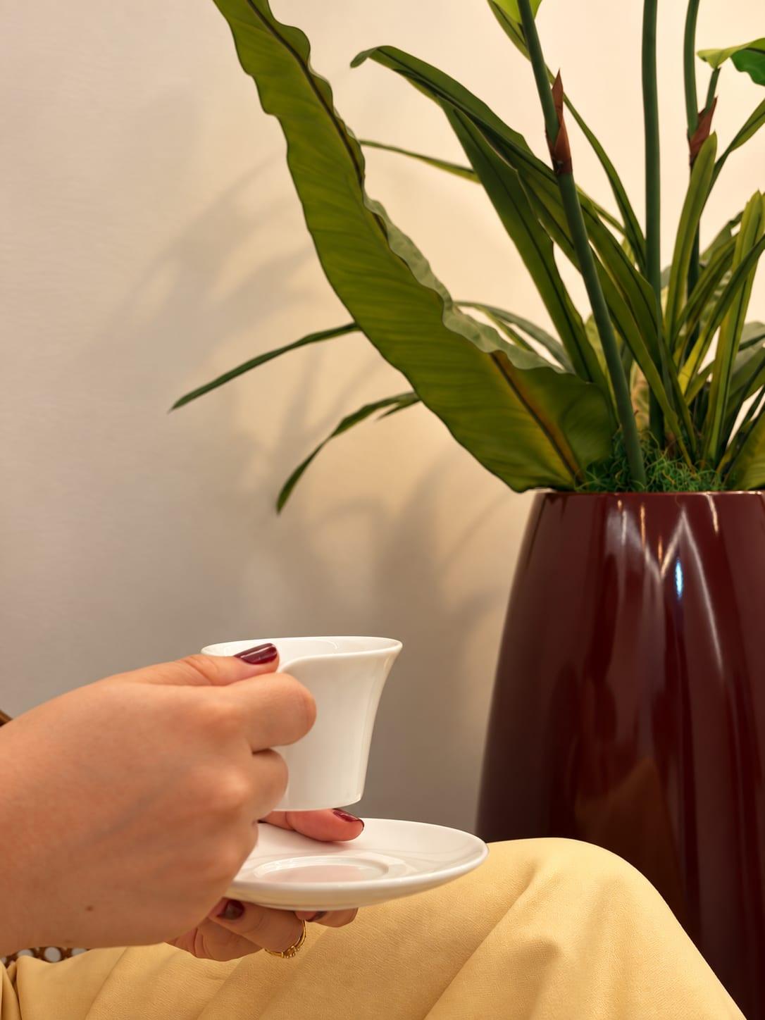 A cup of coffee served beside a plant